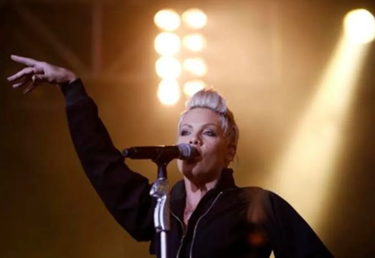 Pink recebe críticas após compartilhar publicação contra protesto de Macklemore