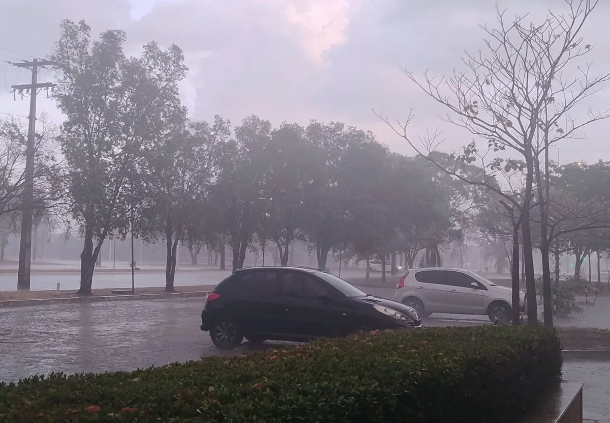 Temporais atingem cidades do norte do Tocantins; Palmas pode ter chuva à noite