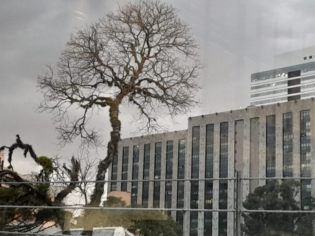 Curitiba terá sábado frio, nublado e com risco de tempestades no Paraná