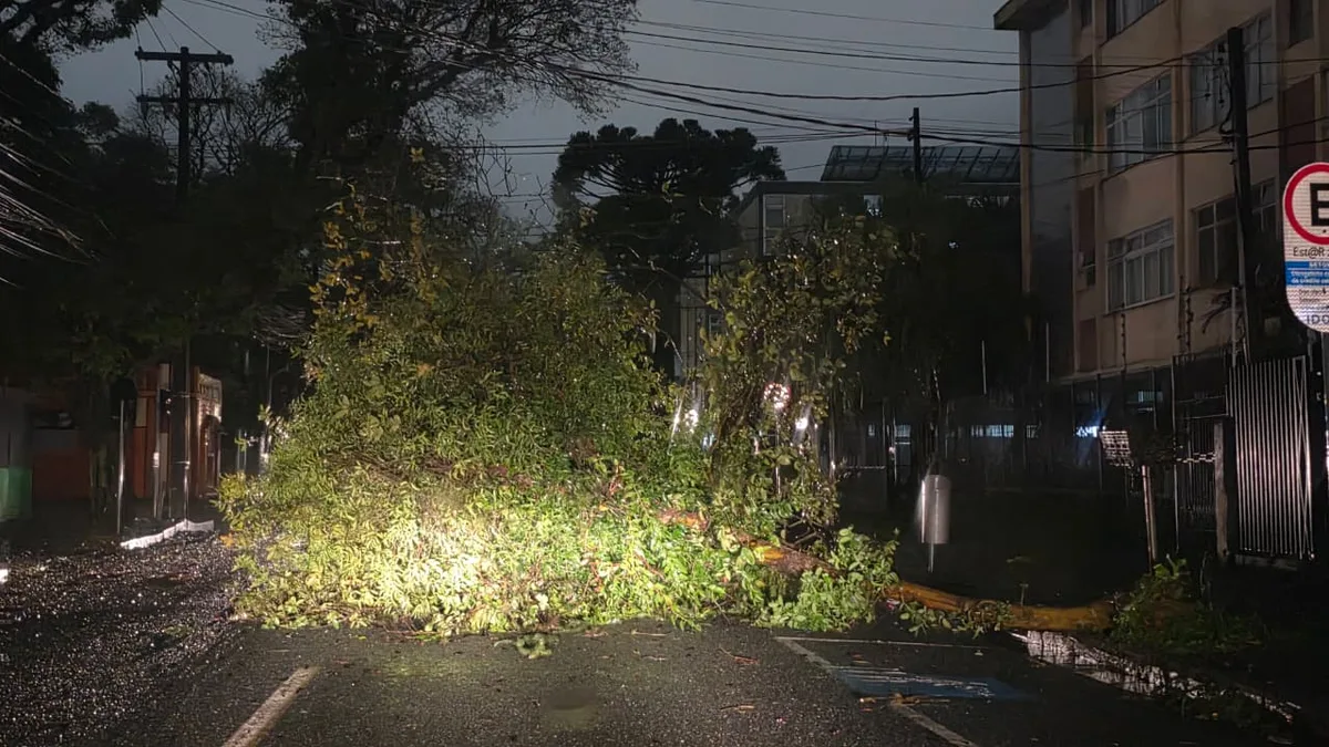 Tempestade causa alagamentos e queda de árvores em Curitiba e região