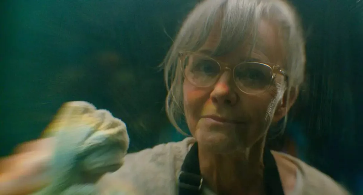 Sally Field vence Emmy por ‘Criaturas Extraordinariamente Brilhantes’