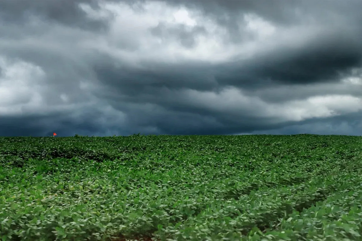 Paraná terá chuva forte e risco de granizo em meio a onda de calor