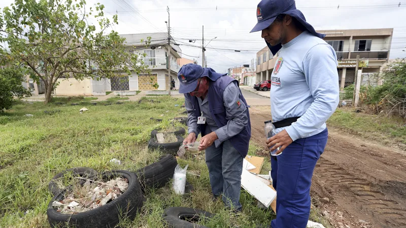 Curitiba define roteiro de coleta de entulhos e prevenção à dengue em outubro