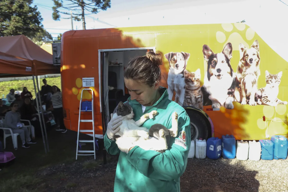 Curitiba oferece 8.475 procedimentos gratuitos para cães e gatos