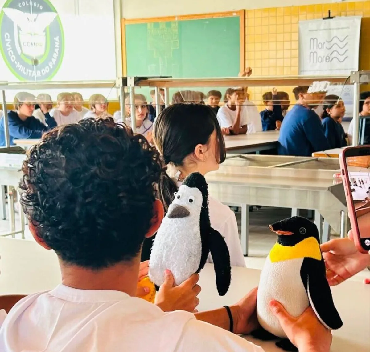Cinema aproxima estudantes do litoral paranaense da ciência e da conservação marinha