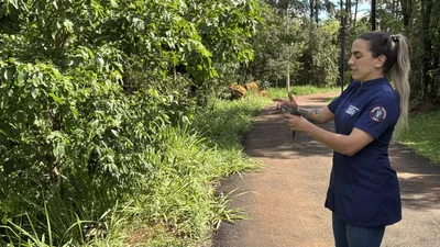 Parque em Cambé estuda receber soltura permanente de animais silvestres