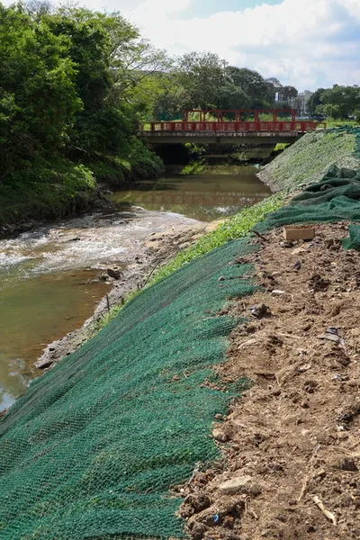 Curitiba testa hidrossemeadura para proteger margens e reduzir assoreamento