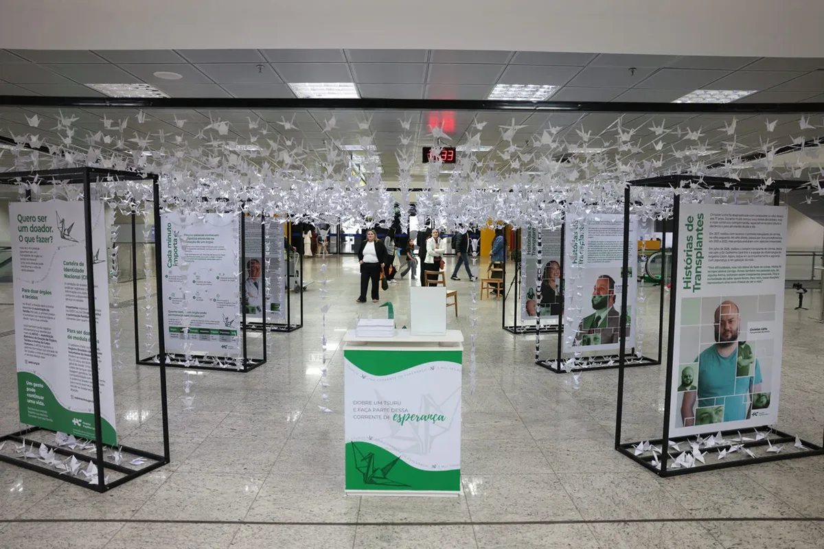 Exposição no Afonso Pena reúne 5 mil tsurus em alerta pela doação de órgãos