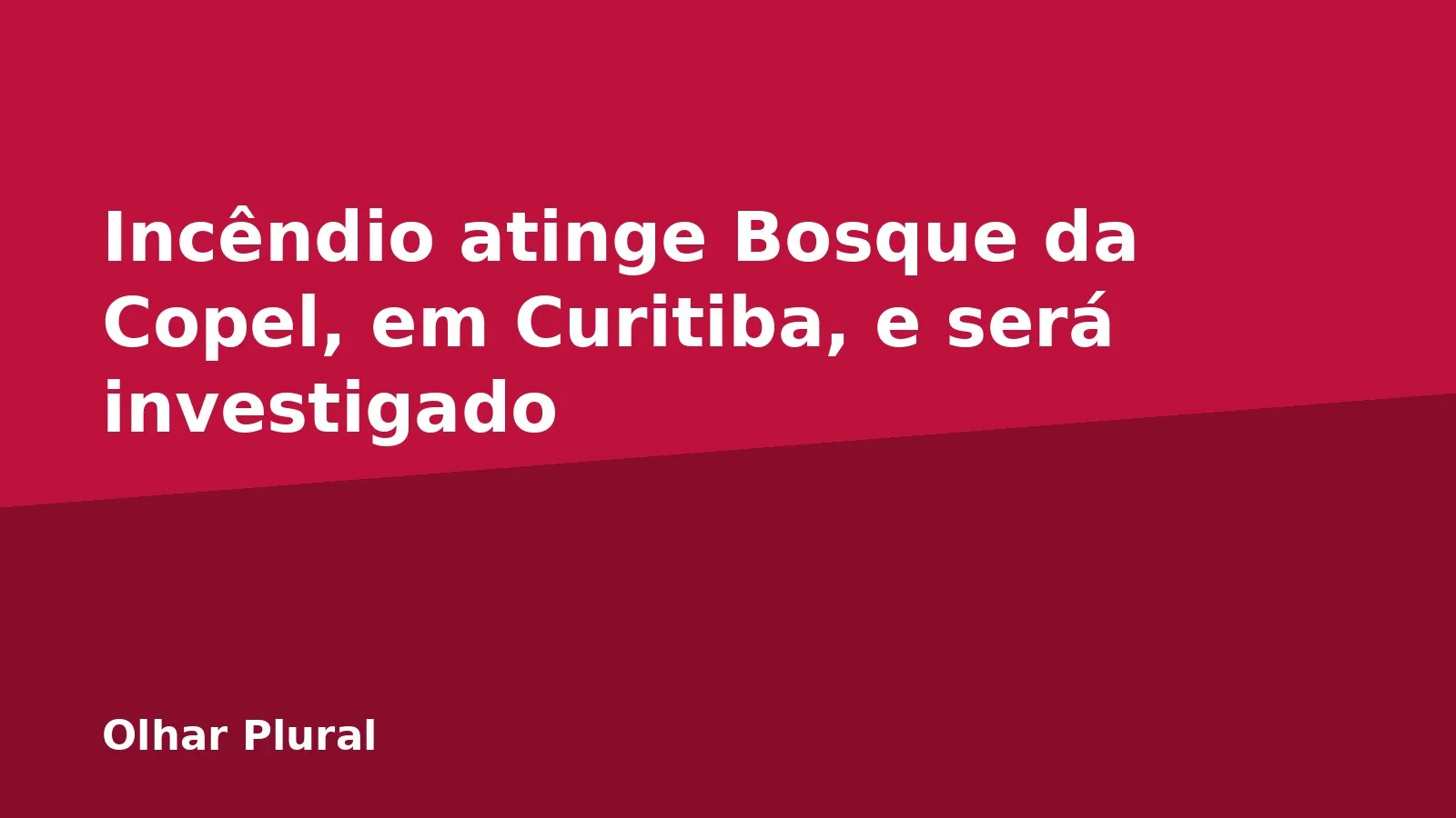 Incêndio atinge Bosque da Copel, em Curitiba, e será investigado