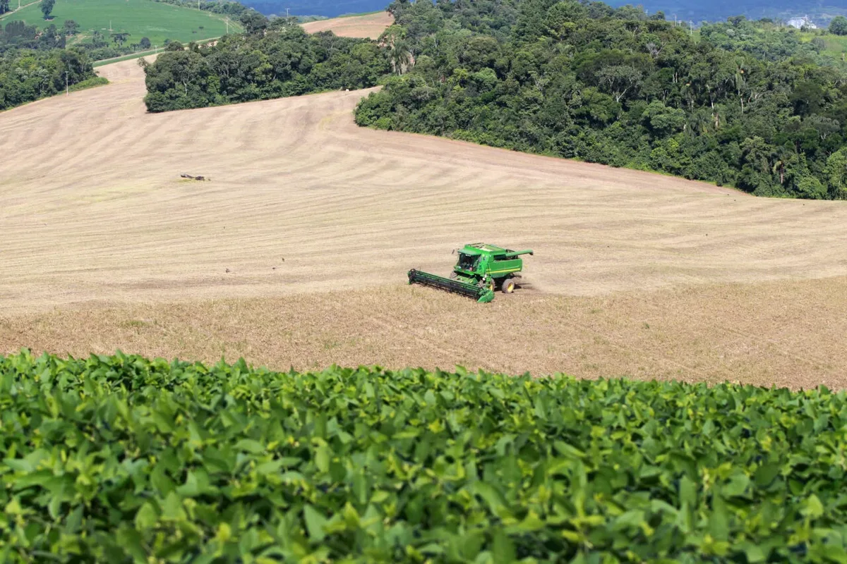 Paraná registra R$ 87,7 bilhões na produção agrícola e fica em 4º no país