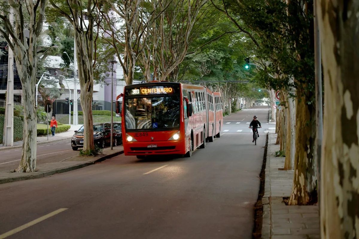 Urbs registra 126 reclamações de pragas no transporte coletivo de Curitiba