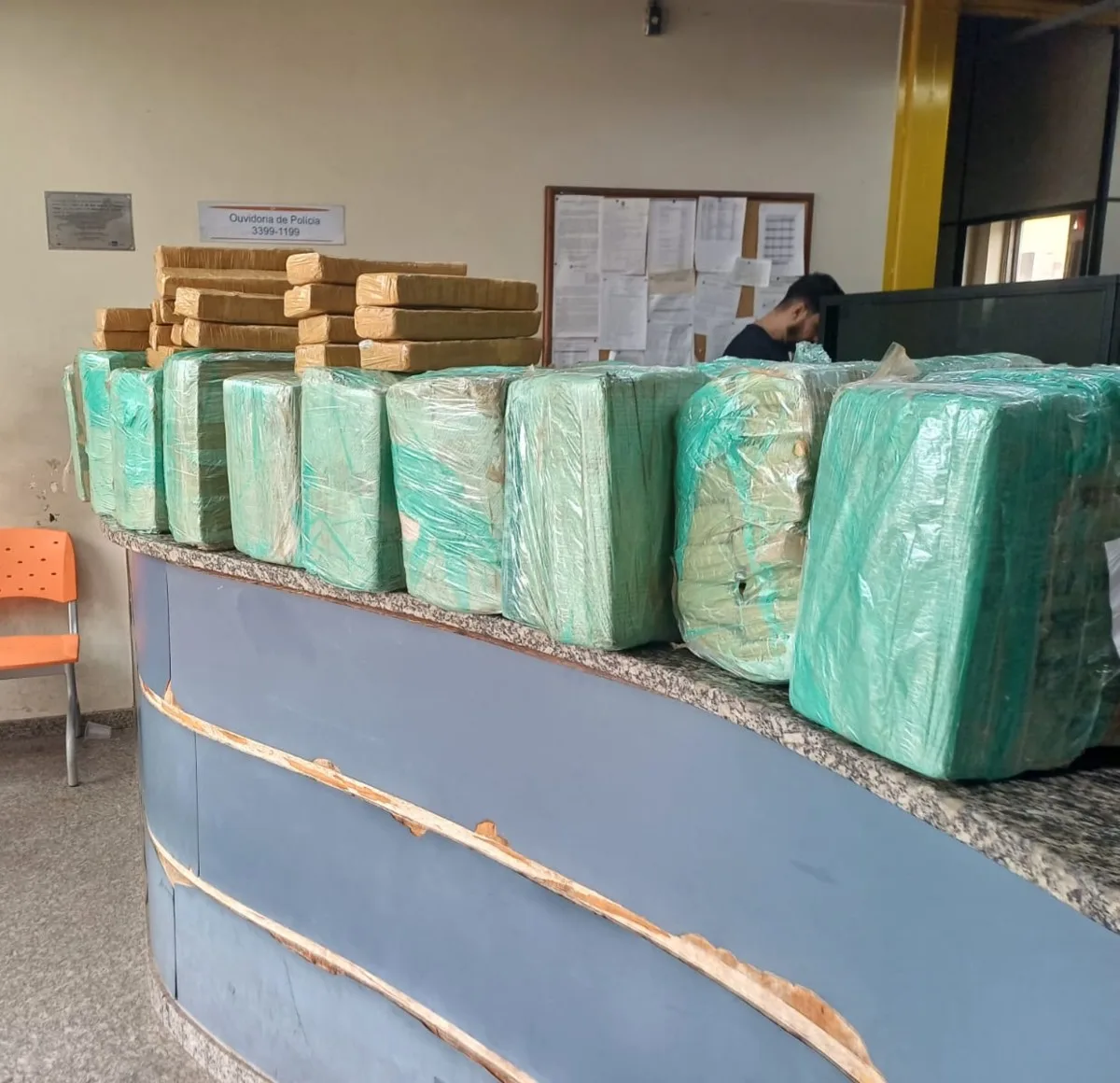 Motorista é preso após fuga e apreensão de 232 kg de maconha na Via Dutra