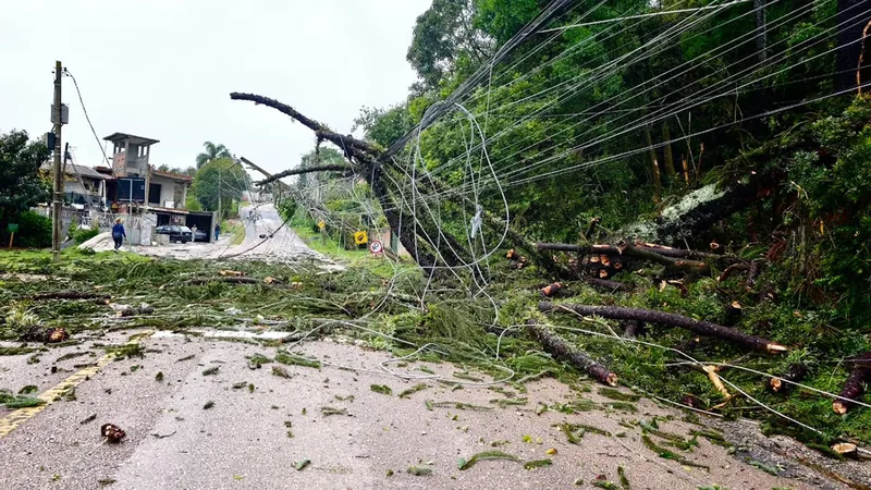 Paraná reduz chuva, mas amanhecer terá temperaturas abaixo de 10ºC