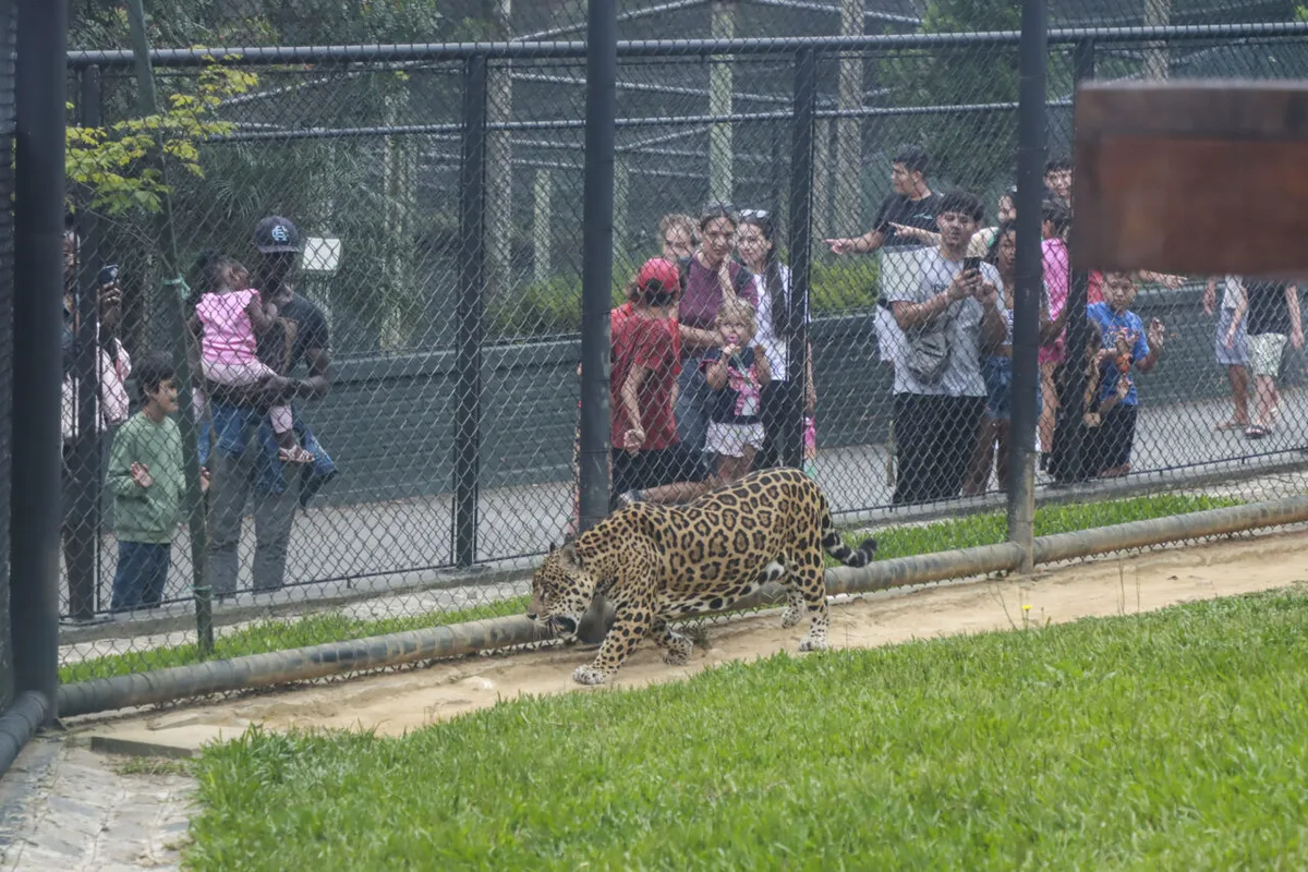 Zoológico de Curitiba abre para visitas nos dias 12 e 13