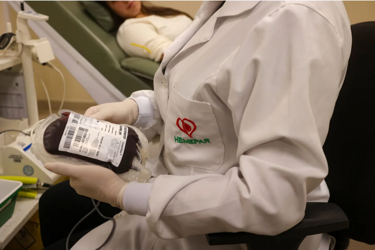 Hemepar reforça necessidade de doações de sangue O positivo e O negativo