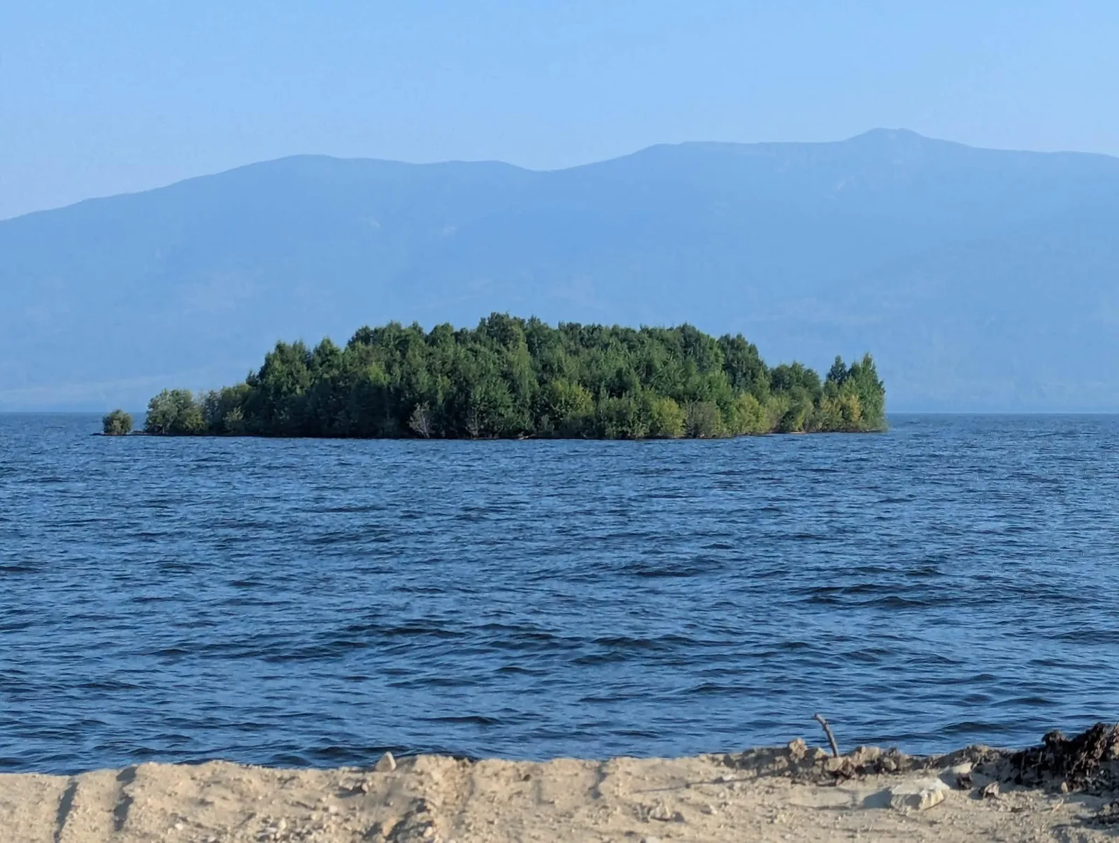 Ilha de árvores percorre lago no Canadá e intriga especialistas