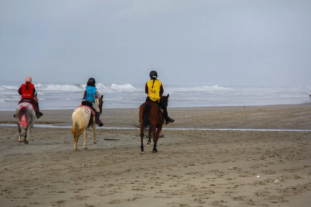 Guarapuava terá circuito infantil gratuito durante etapa de enduro equestre