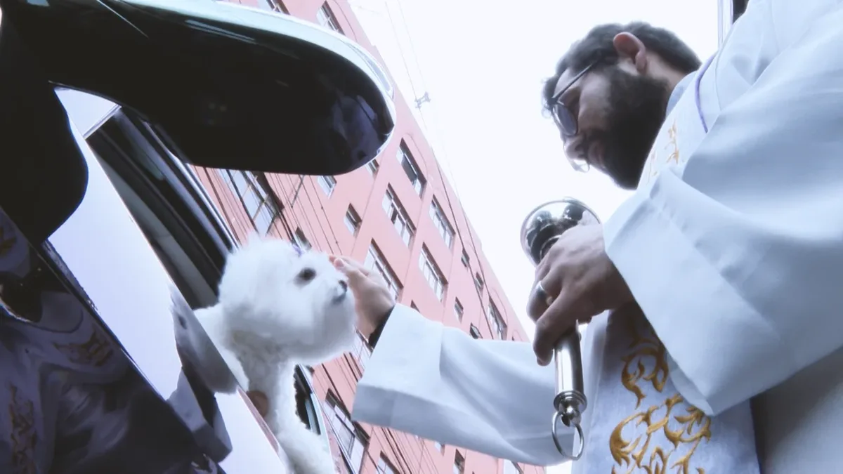 Curitiba reúne bênçãos para animais em paróquias e santuários
