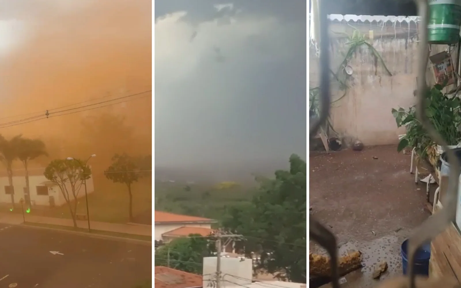 Temporal e rajadas de vento atingem cidades da região de Ribeirão Preto